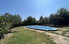 Popas La Doi Brazi - magazine, bar, terasă, casă boierească, grădină și piscină - 20