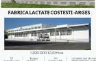 Fabrica Lactate Costesti Arges - 1