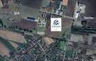 Hala industriala, depozitare vanzare,inchiriere Seitin Arad 10 km vamă - 13