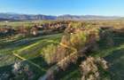 Teren intravilan 2.000 mp de vânzare – Cârnești, Țara Hațegului | vedere Retezat - 6