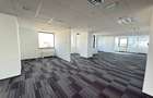 Baneasa Office Space in Cladire Clasa A - 34