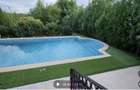 VILA IMPRESIONANTA CU ACCES LA LAC si PISCINA - 34