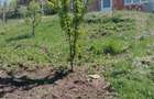 Casă tip studio de închiriat – Șura Mare | 36 mp | Priveliste superbă - 2