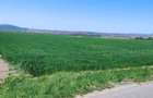 Land for construction,  - 4