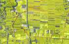 Teren 10.555mp Clinceni /Strada Drumul Mare 850 până la Sos de Centură - 7