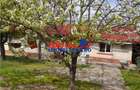 Vanzare Casa cu Teren 1200mp in Com.Mihai Bravu-Giurgiu - 3