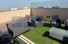 VANZARE PENTHOUSE SPECTACULOS OTOPENI |  355 MP | - 12