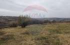 De vânzare teren intravilan, 1.505 mp - Paleu - 4