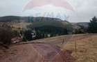 Oază de liniște în inima Apusenilor – teren 6.500 mp Arieșeni - 15