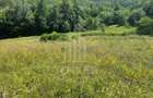Teren intravilan 4600mp - 55 EUR/mp - EXCLUSIVITATE CISNADIOARA - COMISION 0% - 10