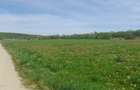 Teren de vanzare intravilan 5000 m2 Cisnadie zona SOMA - 3
