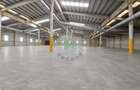 Hala de vanzare, productie, depozitare, desfacere, show-room - 5