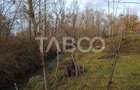 Teren intravilan 8000 mp cu anexa gospodareasca in Vistisoara - 7
