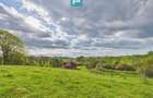 Casă cu teren de 17.681 mp, în loc. Hălmăgel, Arad - 21
