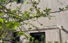 Vilă P+1 4 camere Teren 300 mp  Bragadiru – Strada Safirului - 9