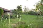 casa P+E cu 2 intrari, 240 mp, 7 cam,  in Becicherecu Mic, la 15 km de Timisoara - 5