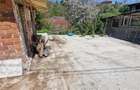Resita Lot de Casa 600 Mp Toate Utilitatile Zona Triaj - 2