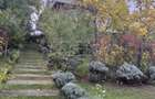 VILĂ P+1 CU GRĂDINĂ MATURĂ DE 830 MP | CORBEANCA – LAGUNA ALBASTRĂ - 27