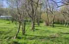 Teren intravilan com.Drajna, sat Cătunu, 12 km de Vălenii de Munte, jud. Prahova - 7