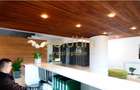 NOU//STUDIO LOFT/56 MP/SUPERB/ VEDERE LIBERA - 3