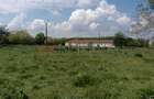 Ferma complet utilată – 30 ha teren comasat cu 11.500mp grajduri renovate Timiș - 6