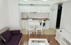 Apartament 2 camere COMPLEX COSMOPOLIS, Mobilat-Utilat MODERN - 9