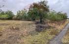 Teren intravilan 1700 mp, de vanzare, A2,  Sarulesti, Polcesti - 4