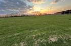 Bocsa Romana, 2 terenuri intravilan, 10.000 Mp.(59.900 Euro) si arabil, 80.000 M - 2