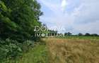 Vânzare teren *17,8 ha - front stradal 40 m.l.* Comuna Runcu - Sat Dobrița - 6