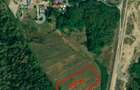 REL4001129 Teren 5900 mp - Km 36 - Petrom - 4