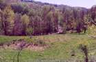 Teren de vis la munte – 7.795 mp – construibil – pârâu, pădure, fără vecini - 6