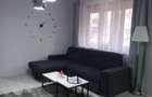 Apartament 2 camere de inchiriat Arad  - 2