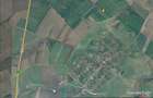 Timisoara Ortisoara-tere agricol  4 hectare comasat - 5