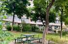 APARTAMENT 2 CAMERE | SALA PALATULUI–CIȘMIGIU | PRIMA INCHIRIERE | PET-FRIENDLY - 14