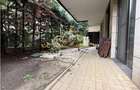 Inchiriere apartament 3 camere Gradina zoologica - Parcul Privighetorilor, Bucur - 18