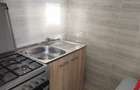 Apartament 3 camere – Calea Calarasi, stradal - 11