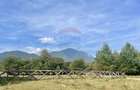Teren intravilan 850mp Zarnești-Bran, natura-relaxare - 1