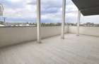 Apartament 2 camere - Terasa 30 mp - Theodor Pallady - 8