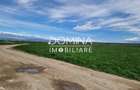 Vânzare teren extravilan 25.254 mp, situat în localitatea componentă Preajba - 5