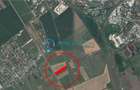 Royal Imobiliare - Vanzare Teren Intravilan zona Vest - 1