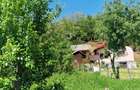 Proprietate în Comuna Botești, Județul Argeș – Zonă Pitorească și Liniștită ! - 3