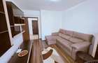 2 camere Aleea Mizil bloc 2017 etaj 2/3 centrala proprie si loc parcare - 35