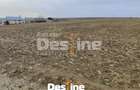 Teren Primarie Dumesti, 8100 mp, front 13 ml, - 1