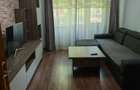 Apartament 3 camere Nicolina vis a vis de Selgros - 11