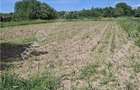 Teren intravilan de 2679 mp in Porumbacu de Sus din Sibiu - 4
