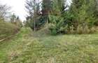 Poienita 2800mp, Covasna, zona hotel Clermont, inconjurat de padure - 22