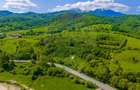 Teren 1ha Valea Glăjeriei - Rasnov | Comision 0% - 10