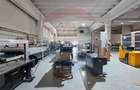 Hale Industriale 5065 mp de vanzare Str. Bradului - Bacau - 7