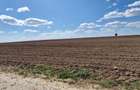 RECO Teren extravilan in Oradea 13000mp - 1