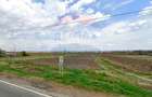 Teren Intravilan de 7000 mp la Granița cu Republica Moldova! - 2